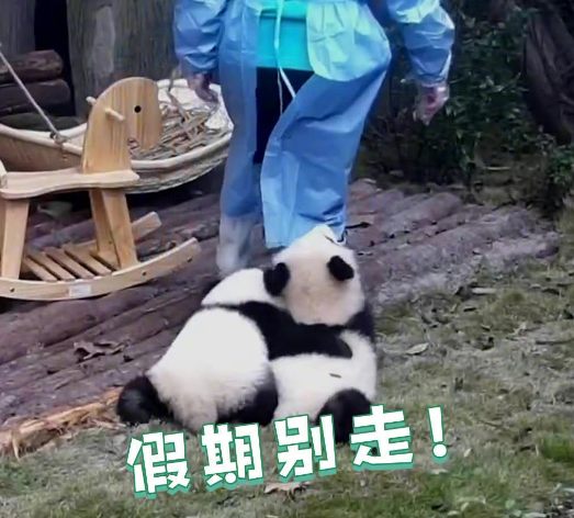 返程高峰不怕堵，至上音乐旗下车载音响让你畅享音乐盛宴！