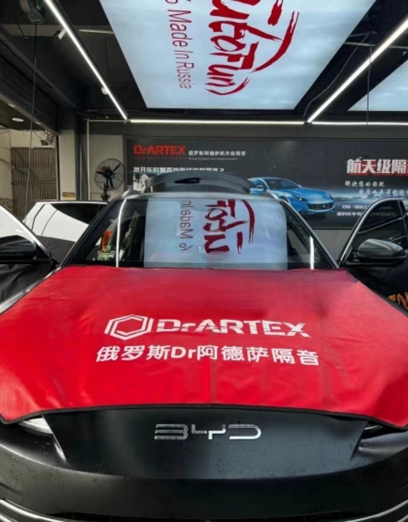 比亚迪.jpg