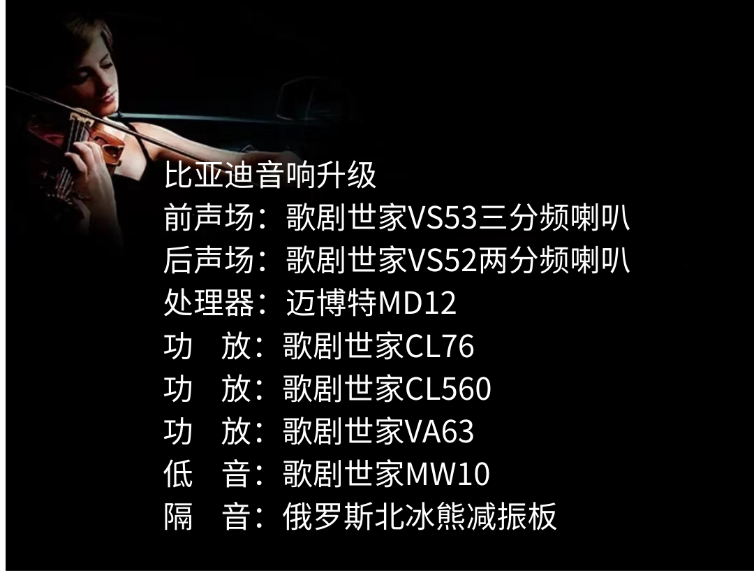 比亚迪新.png