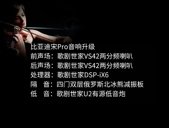 比亚迪宋pro.png